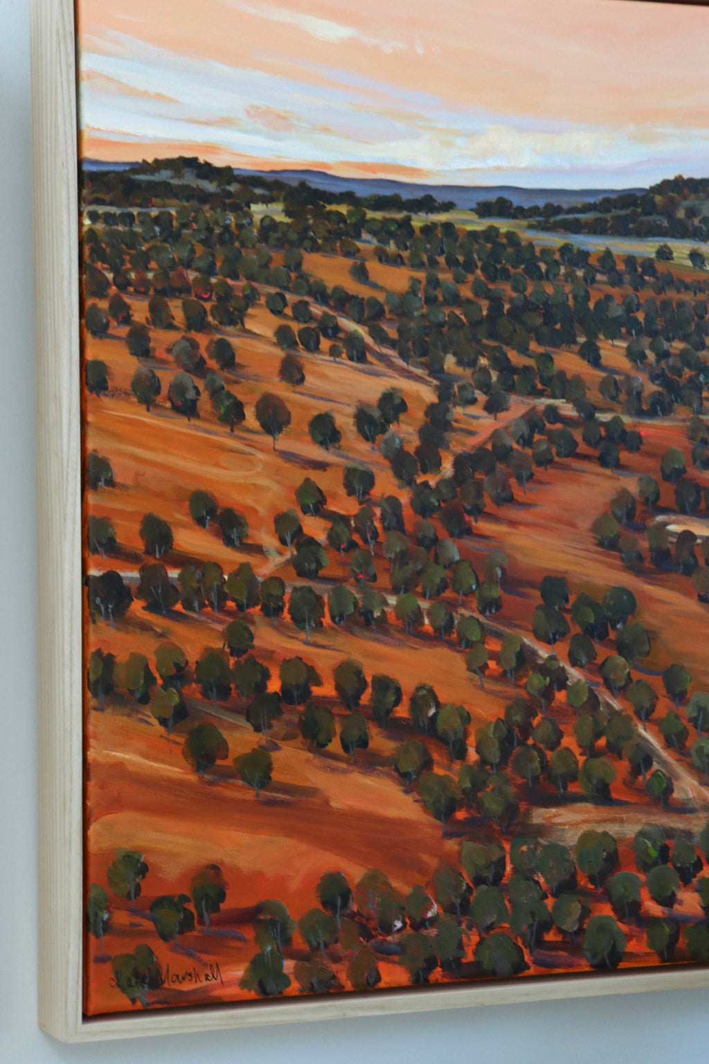 Red Earth