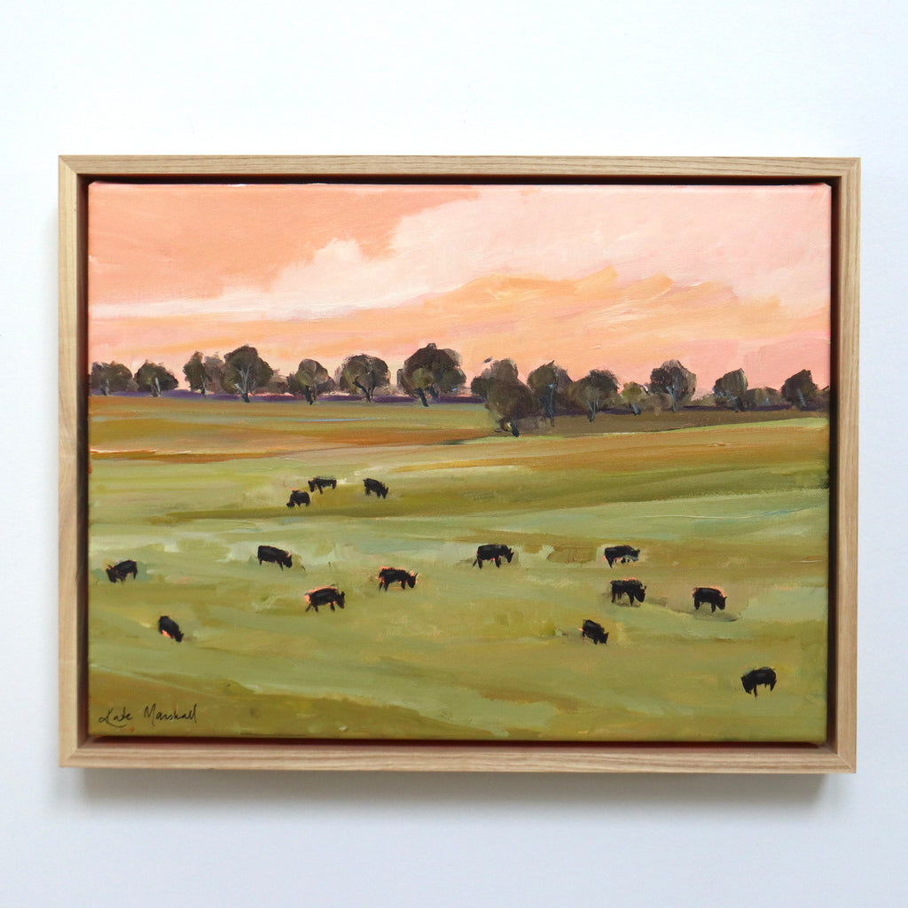 Morning Pasture 1