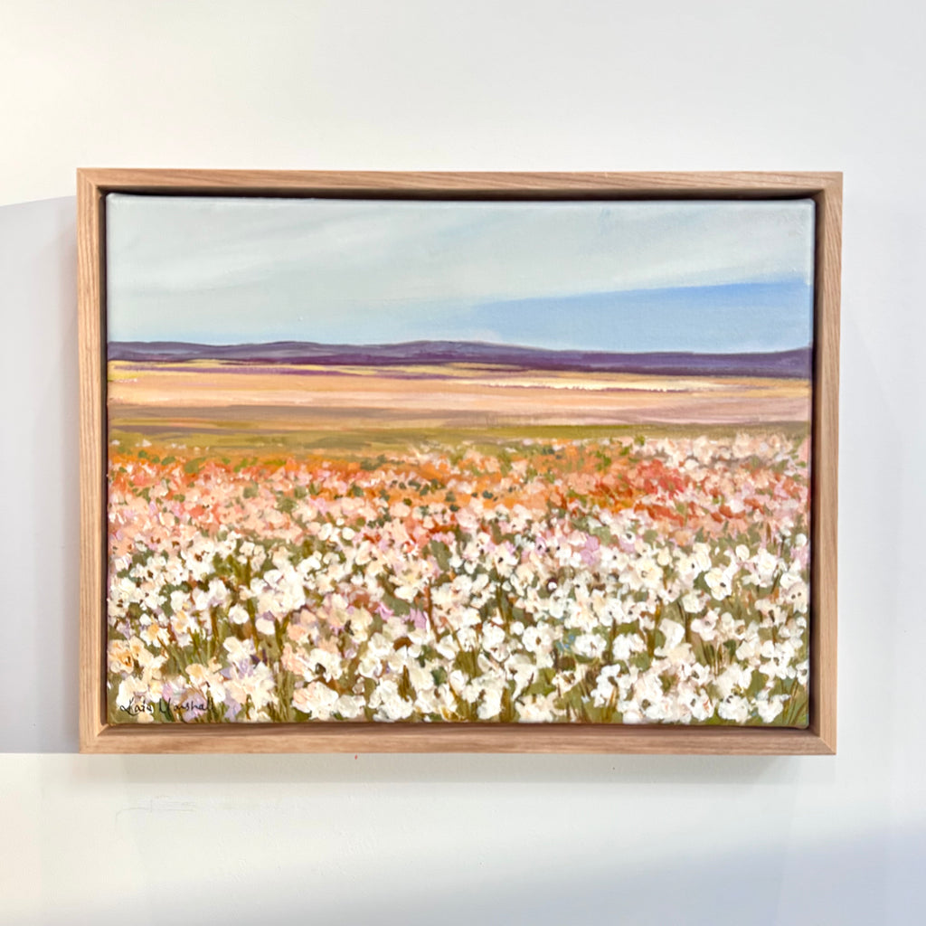 Pastel Paddock